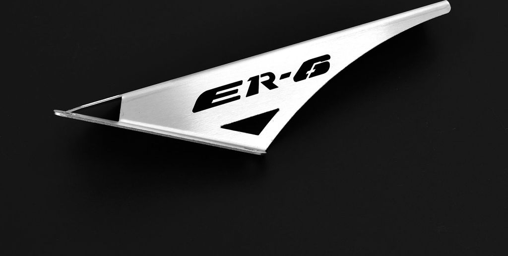Kettenschutz kompatibel mit Kawasaki ER-6 n / f BJ 2005-16 Logo silber
