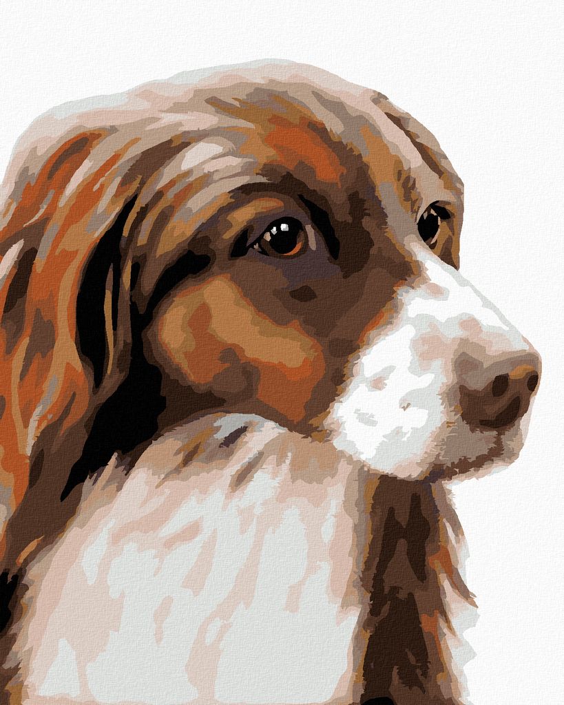 Zuty - Malen nach Zahlen - COCKERSPANIEL (MYROSLAVA VOLOSCHUK), 40x50 cm, ohne Keilrahmen