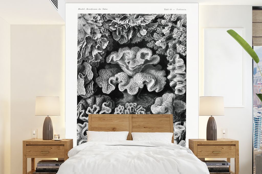 MuchoWow Fototapete für Wohnzimmer oder Schlafzimmer Wandtapete Vinyl Motivtapete Kunst - Koralle - Ernst Haeckel - Alte Meister - Natur - 190x2...