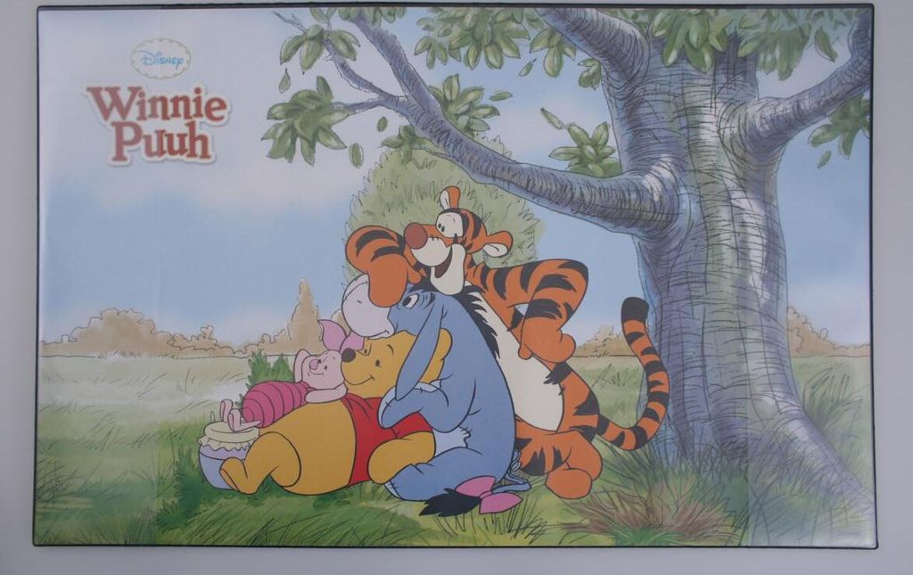 10 Schreibtischunterlagen 68x44cm / "Winni the Pooh"