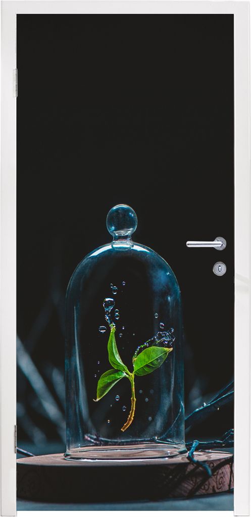 MuchoWow Türtapete Selbstklebende Türfolie Stilleben - Pflanze - Blumen 90x215 cm Türposter Türaufkleber Klebefolie Türklebefolie - Plakat a...