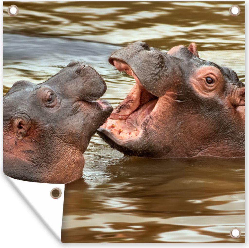 MuchoWow 50x50 cm Outdoor-Poster Gartendeko Sichtschutz Garten Poster für den Garten Nilpferd - Tiere - Wasser