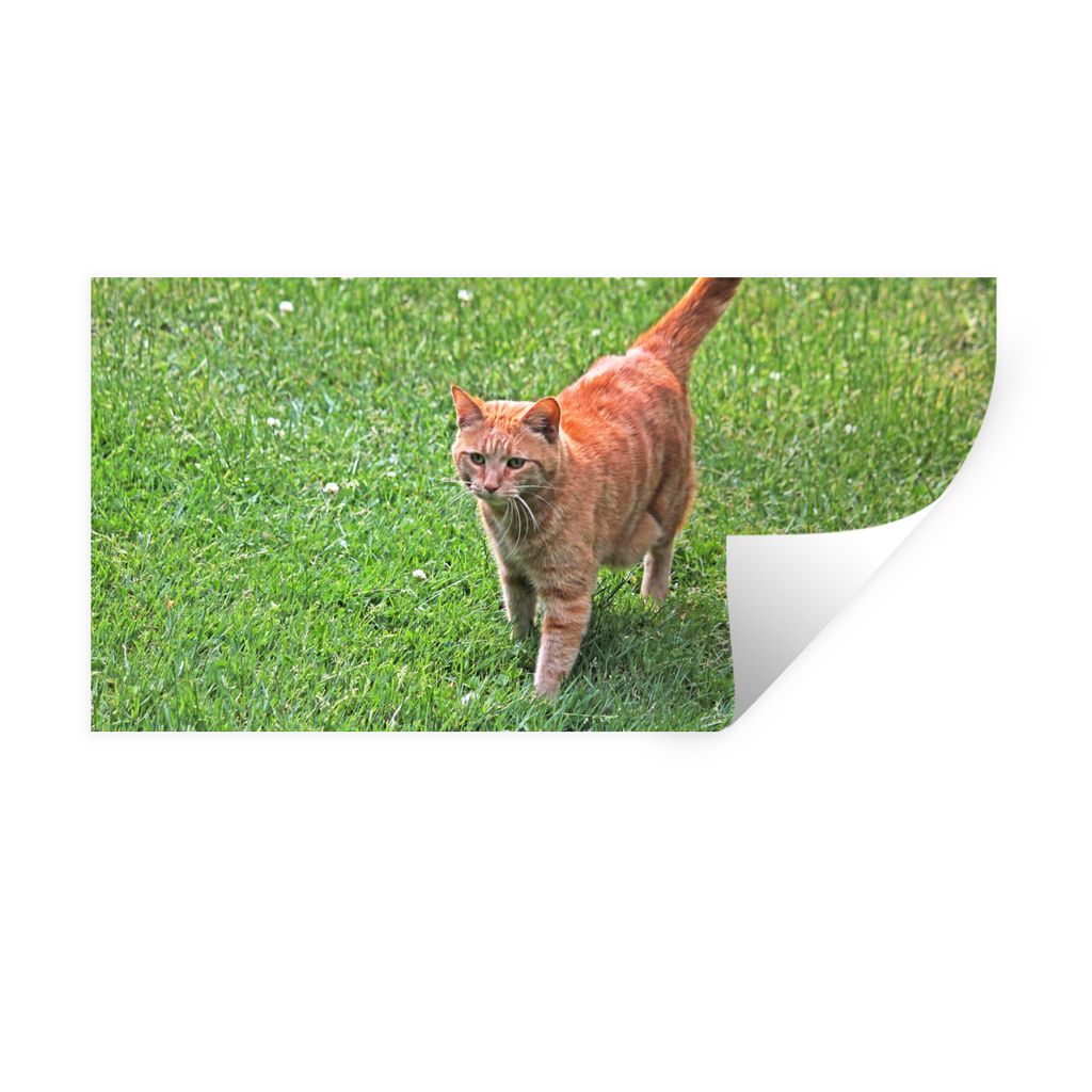 MuchoWow Wandtattoo Wandsticker Wandaufkleber Katze - Rot - Katze - Mädchen - Kinder - Jungen - Kind 80x40 cm Selbstklebend und Repositionierbar...