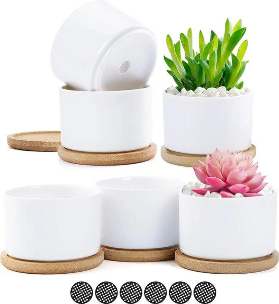Organisez vos succulentes avec ces 6 petits pots en céramique blanche