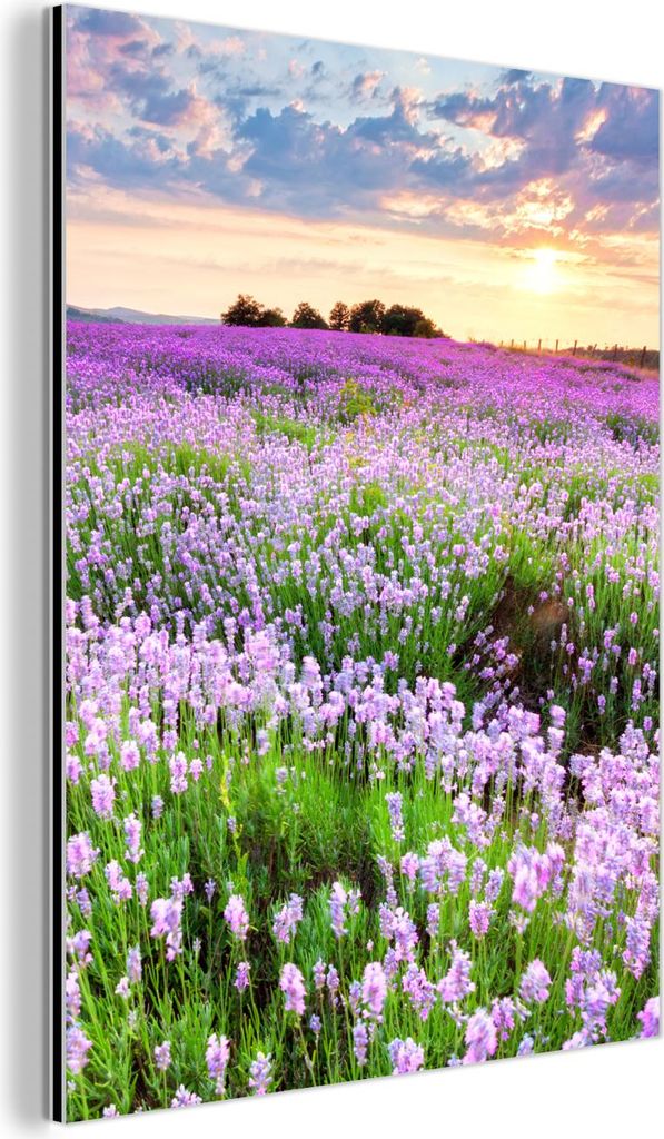 MuchoWow Wanddekoration Metall Metallbild Wandkunst 30x40 cm Blumen - Lavendel - Lila - Himmel - Sonnenuntergang - Wiese - Natur MuchoWow Aluminium...