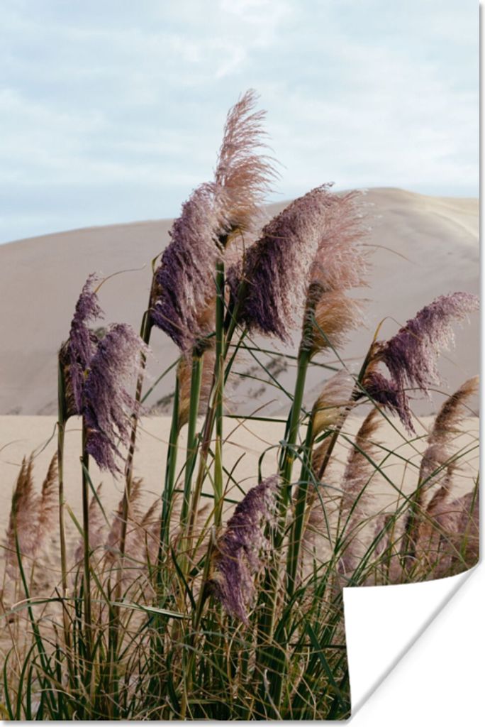 MuchoWow Poster Pampasgras - Sand - Pflanzen - Düne 40x60 cm - Plakate für die Wand - Poster Babyzimmer