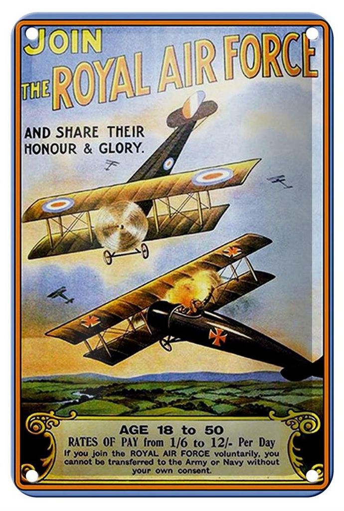 Blechschild Spruch 12x18cm Flugzeug Royal air force Age 18