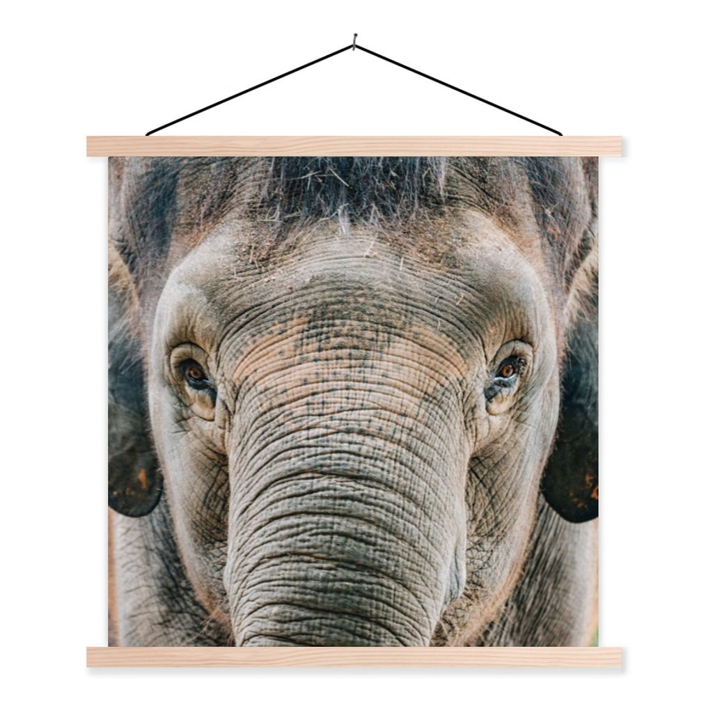 MuchoWow Textilposter Elefant - Porträt - Tiere - Grau 120x120 cm mit holzfarbenen Rahmen - Textil-Poster