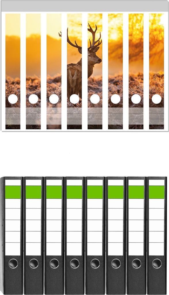 Wallario 8 Stück schmale Ordner inkl. Klebeetiketten mit Motive stattlicher Rothirsch im Morgengrauen - Set mit Rückenschildern / Ordnerrücken S...