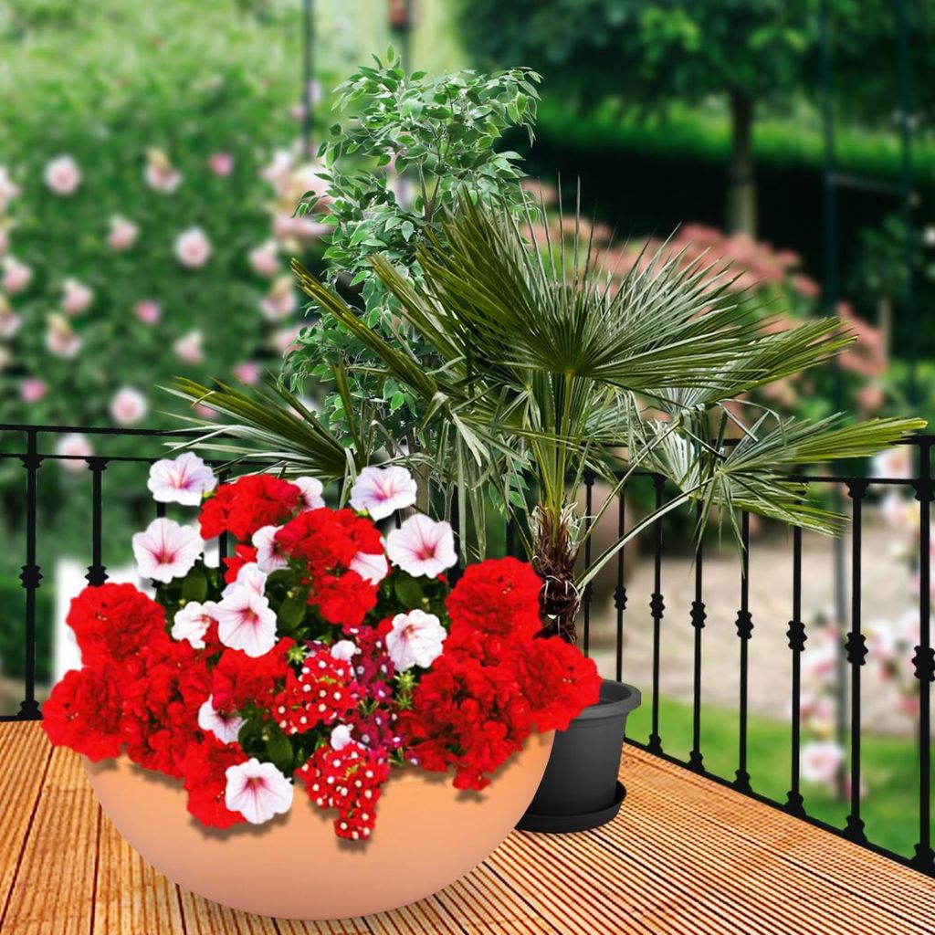 Pflanzschale rund Ø 40cm Blumen Schale Pflanzkübel