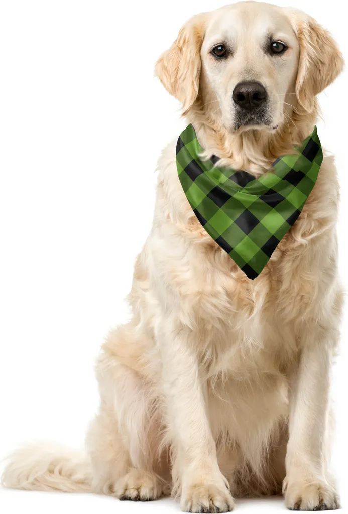ABAKUHAUS Bandana per Cani Lavabile - Verde Grigio 55x55 cm