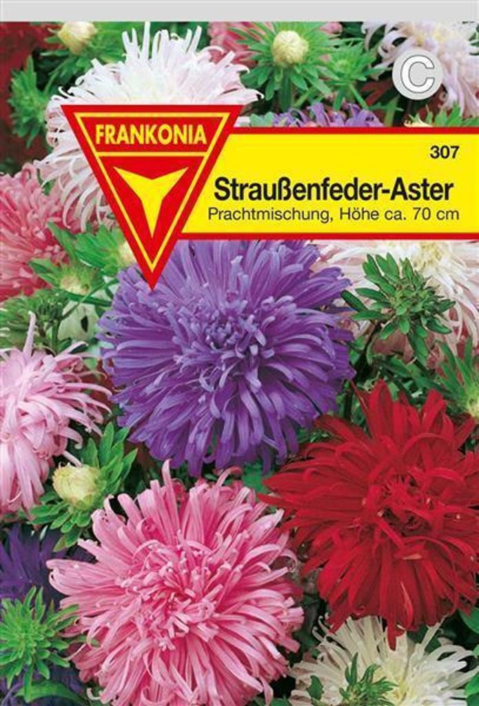 Astern Straußenfeder