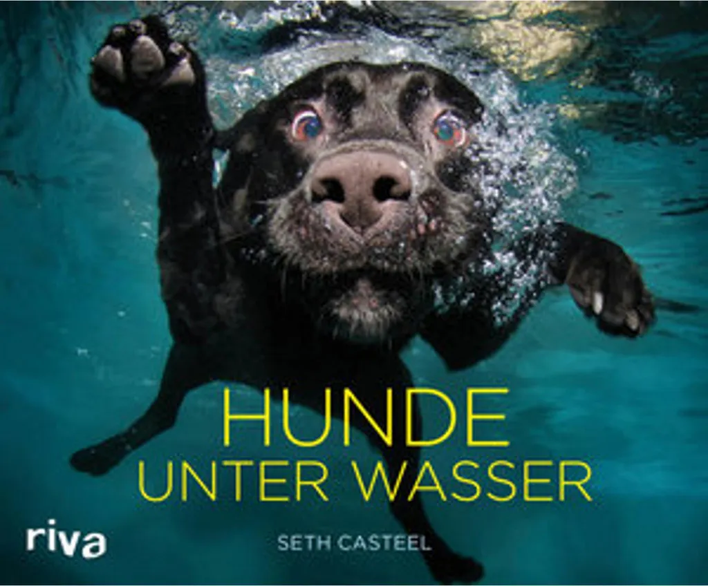 Livre Hunde unter Wasser par Seth Casteel - Album Photos Chiens sous l'Eau