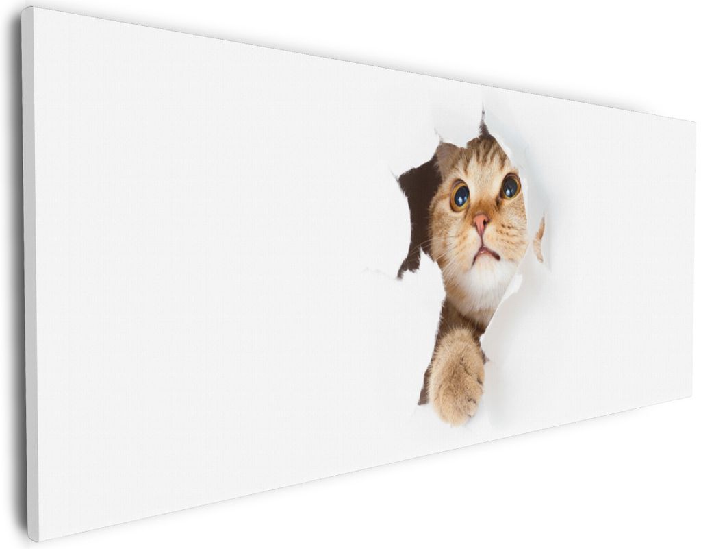 Wallario Premium Leinwandbild Katze mit Blick nach oben in Größe 30 x 75 cm