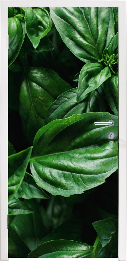 MuchoWow Türtapete Selbstklebende Türfolie Nahaufnahme Basilikumblätter 75x205 cm Türposter Türaufkleber Klebefolie Türklebefolie - XXL-Auf...