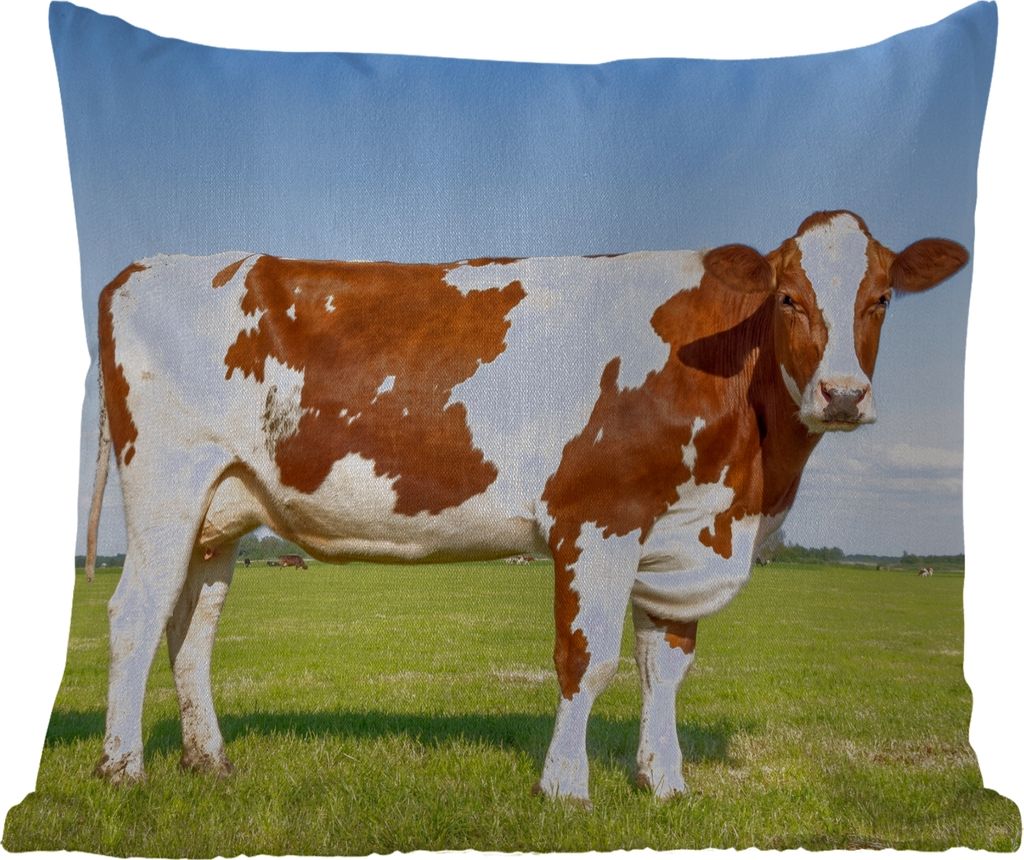 MuchoWow Outdoor Kissen - Kühe - Bauernhof - Gras - Natur - Tiere - 60x60 cm - Wetterfest - Lounge Kissen - Dekoration - Schlaf Kissen