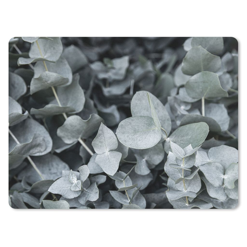 MuchoWow Mauspad Mousepad Natur - Pflanzen - Eukalyptus - Blätter 23x19 cm - Mousepads - Maus Mat - Pad - Mausunterlage - Schreibtischunterlage ...