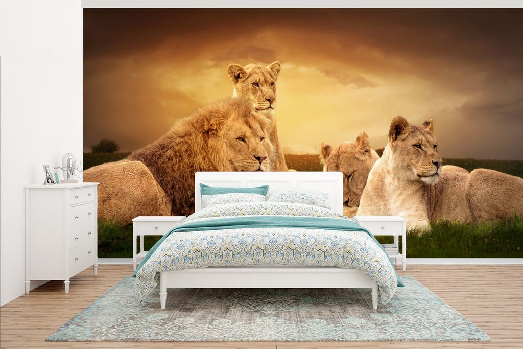 MuchoWow Fototapete für Wohnzimmer oder Schlafzimmer Wandtapete Vinyl Motivtapete Löwen - Gras - Himmel - 395x220 cm - Tapezier Papier