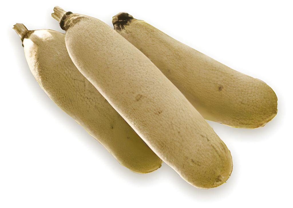Tropica Pflanzensamen Leberwurstbaum, mehrjährig, nicht Produktbild 