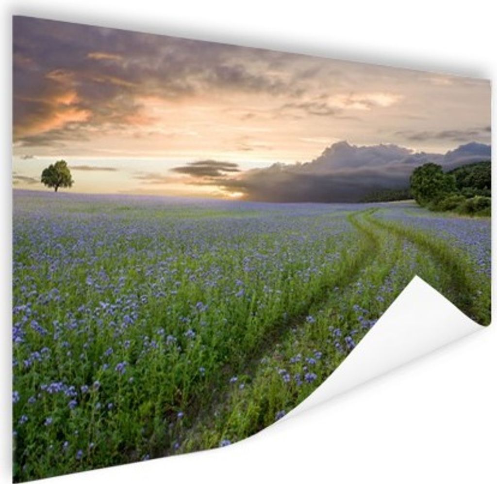 MuchoWow Poster Sonnenuntergang - Blumen - Farben 90x60 cm - Schlafzimmer