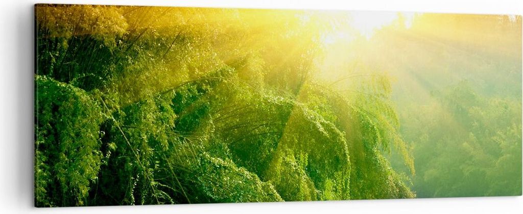Bild auf Leinwand - Leinwandbild - Tropen Bäume Fluss - 140x50cm - Wand Bild - Wanddeko - Leinwanddruck - Bilder - Kunstdruck - Wanddekoration - L...