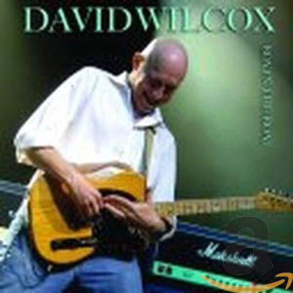 David Wilcox - Junge auf der Boots -CD