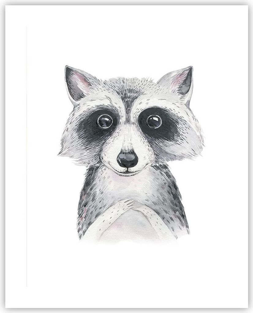 Poster - Poster ohne Rahmen - Waschbär Bild Kinder - 40x50 cm - Wand Bild - Wanddeko - Wandbilder - Kunstposter - Wandposter - Bilder - Kunstdruck...