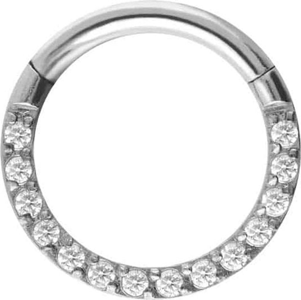Ohrpiercing, Nasenpiercing, Septum Piercing Titan Segmentring Clicker EINGEFASSTE KRISTALLE Silber Innendurchmesser: 8 mm
