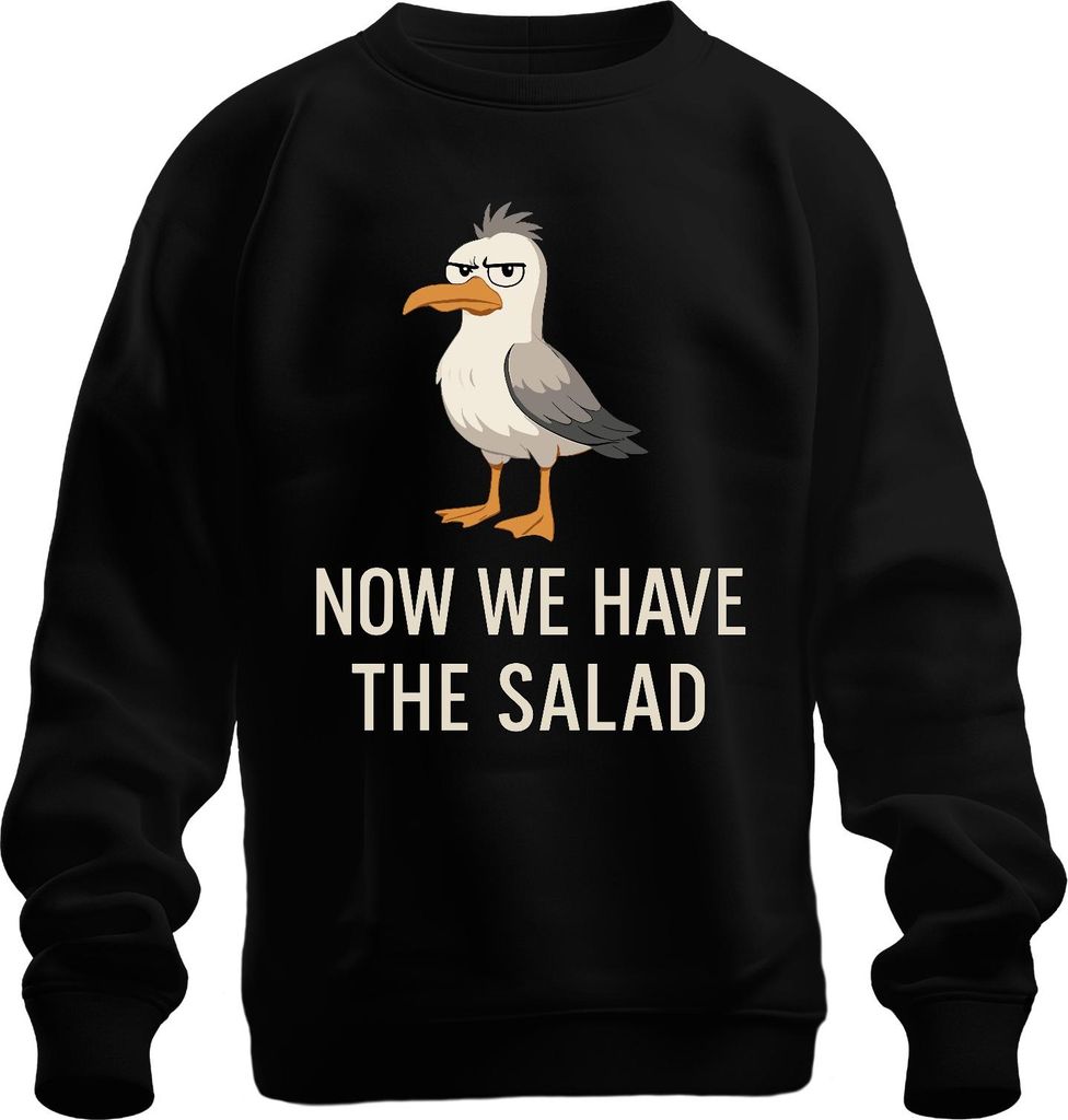 Jetzt haben wir den Salat Möwe sarkastisch lustig Cartoon Küste Uni Sweatshirt Pullover, Schwarz, L