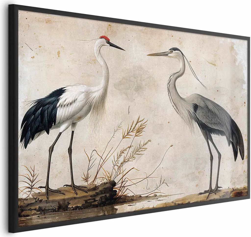 Posterpapier Poster - Birds from an Old Engraving - vintage-style illustration of a heron and a crane 90x60 cm Tiere g-C-10156-ao-a