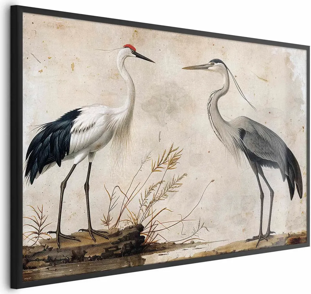 Poster Incisione Uccelli 90x60 cm con Cornice Nera - Stampa Artistica