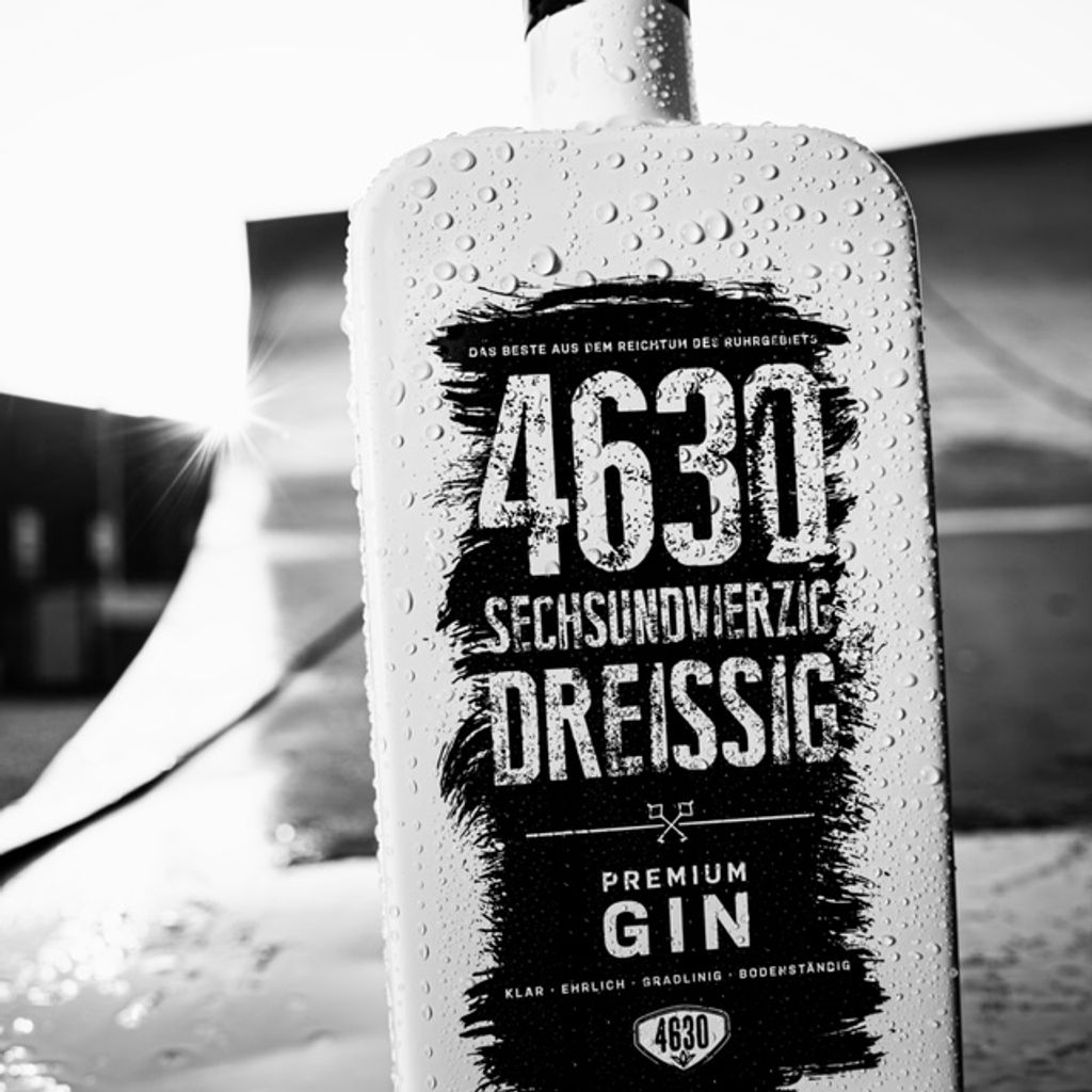 4630 Gin Ruhrpott Premium Gin Gin Kaufland.de