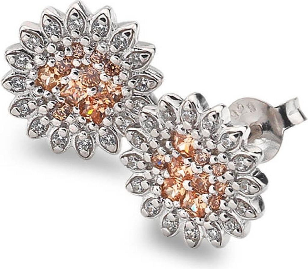 Silver Earrings Emozioni Spirzzare EE032