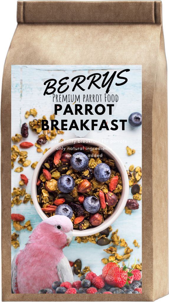 Colazione calda per pappagalli ai frutti di bosco | Piatto Immagine del prodotto 
