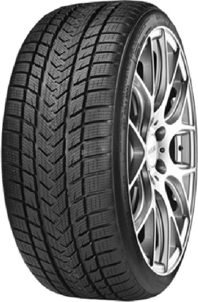 Gripmax Suregrip Ewinter 205/65R17 100V Bsw Xl
