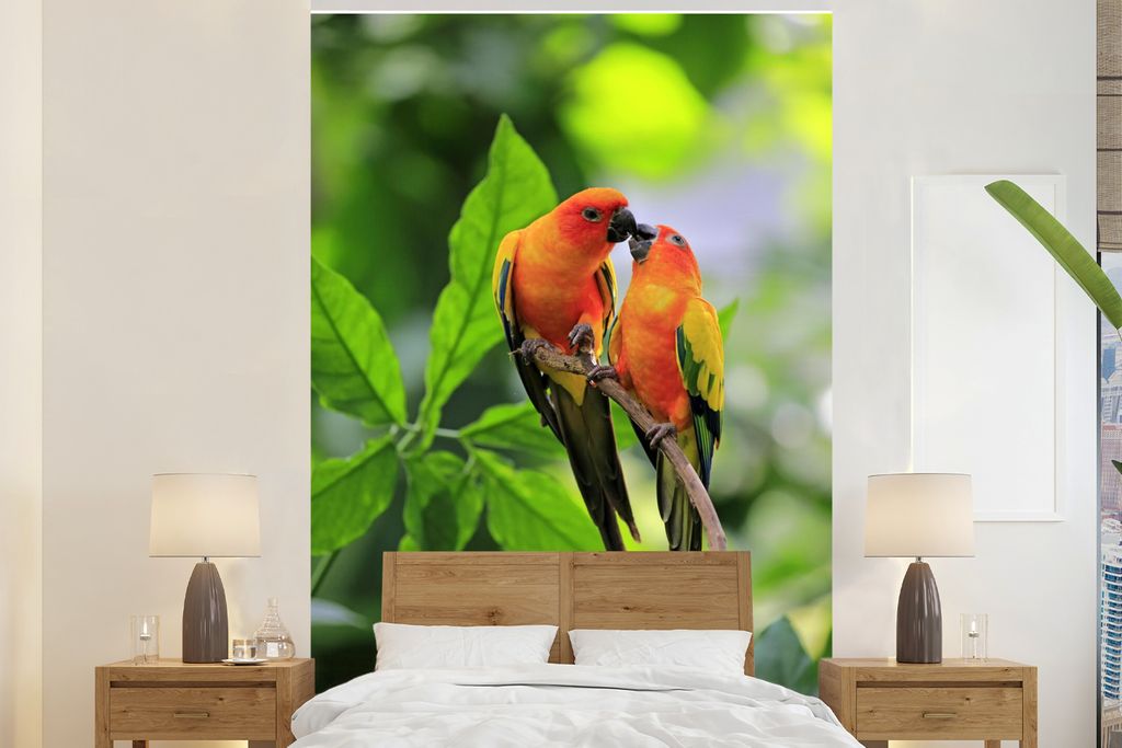 MuchoWow Fototapete für Wohnzimmer oder Schlafzimmer Wandtapete Vinyl Motivtapete Zwei Sonnensittiche sitzen zusammen auf einem Ast - 225x350 cm...