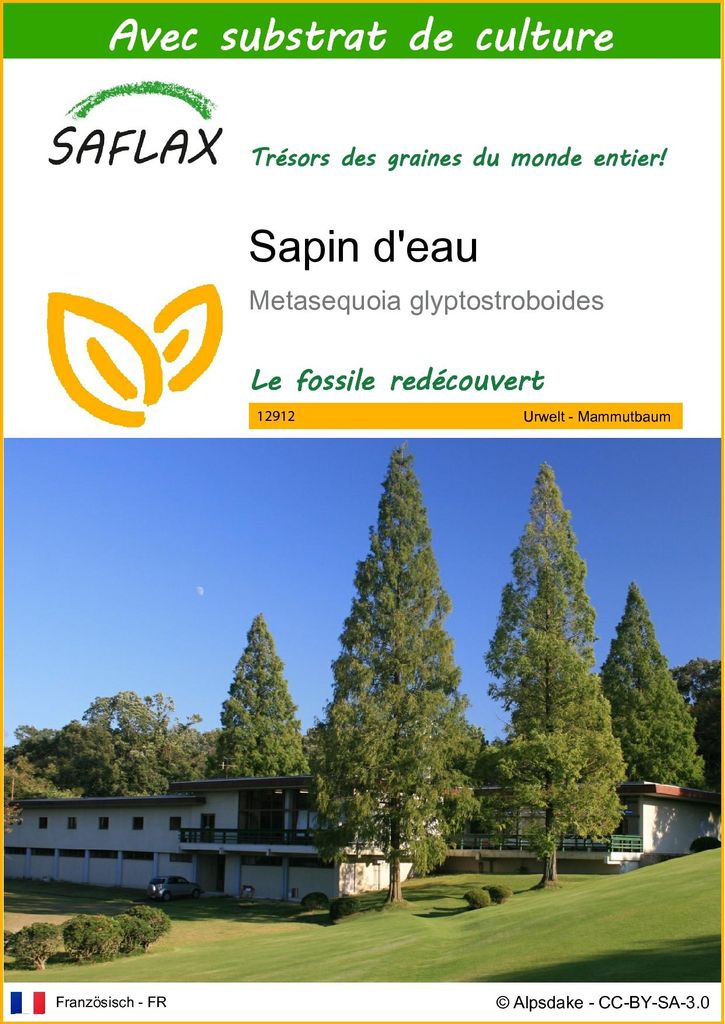 SAFLAX  - Sapin d'eau - 60 graines - Avec substrat - Image du produit 