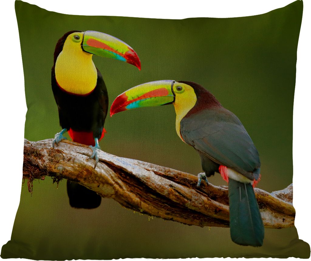 MuchoWow Outdoor Kissen - Vögel - Tukan - Zweig - Tiere - Regenbogen - 45x45 cm - Wetterfest - Lounge Kissen - Fotokissen - Dekoratives Kissen