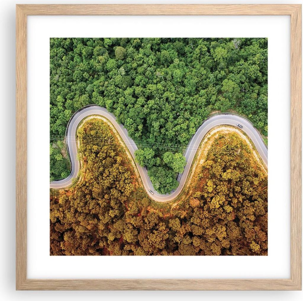 Gerahmtes Poster - Rahmen in heller Eiche - Luftaufnahmen Weg Wald - 40x40 cm - Wand Bild - Wanddeko - Wandbilder - Kunstposter - Wandposter - Bild...