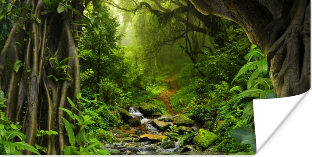 MuchoWow Poster Natur - Wasser - Dschungel - Wald - Tropisch 120x60 cm - Bild