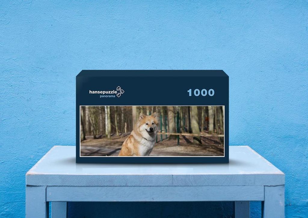 hansepuzzle 30573 - Eurasier Puzzle, 1050 Teile, Tierwelt, 60,0 x 46,0cm mit hochwertiger Aufbewahrung, Kartonbox und wiederverschließbarem Beutel