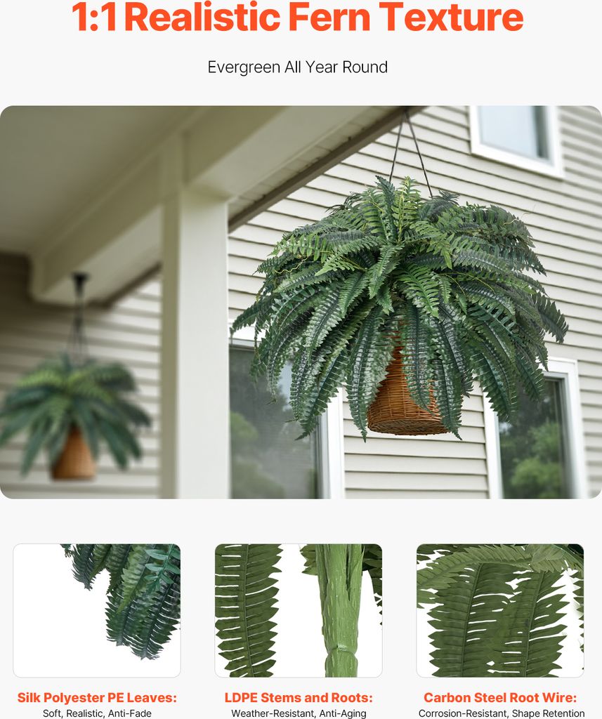 kaktus groß echt Kaufen Sie einen großen Euphorbia-Kaktus – Urbangreen main image 1