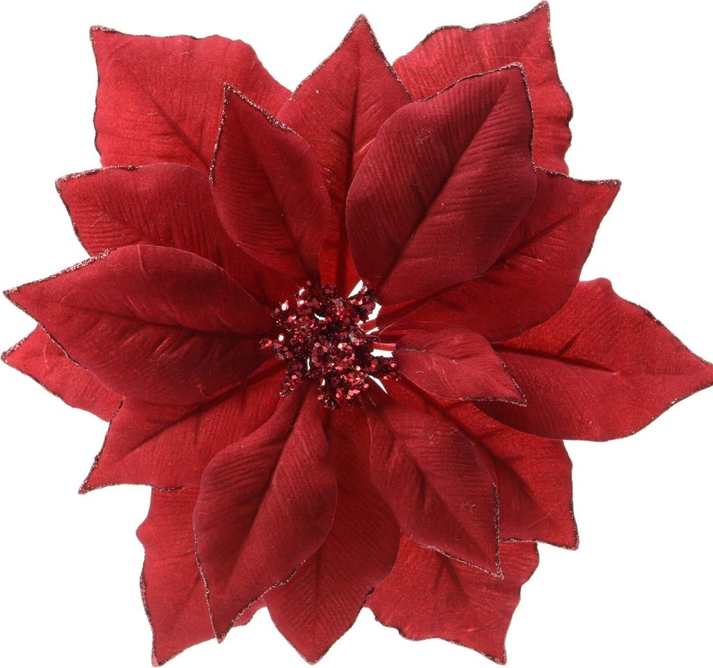 Weihnachtsstern Blume auf Clip 24cm rot Produktbild 