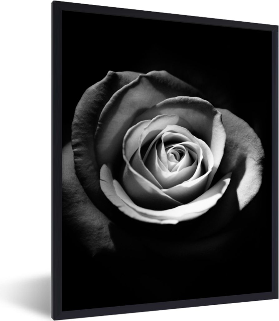 MuchoWow Gerahmtes Poster Blumen - Schwarz - Rose - Weiß - Botanisch 30x40 cm - Poster mit Schwarzem Bilderrahmen Wandposter Rahmen Foto Bilder ...