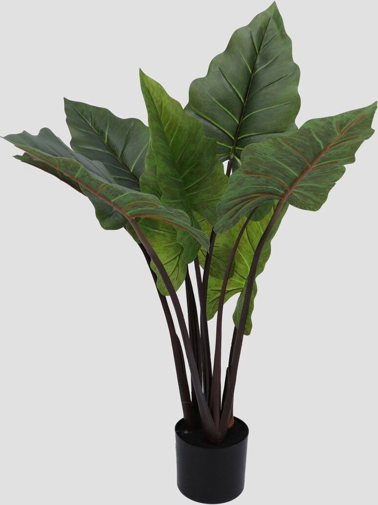 HOMLA Künstliche Pflanze AILIA taro 80 cm