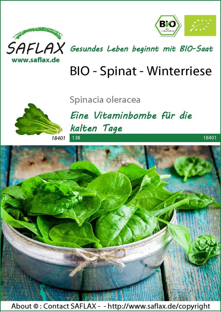 SAFLAX -  - Spinazie - Wintervariëteit - 250 zaden - Productafbeelding 