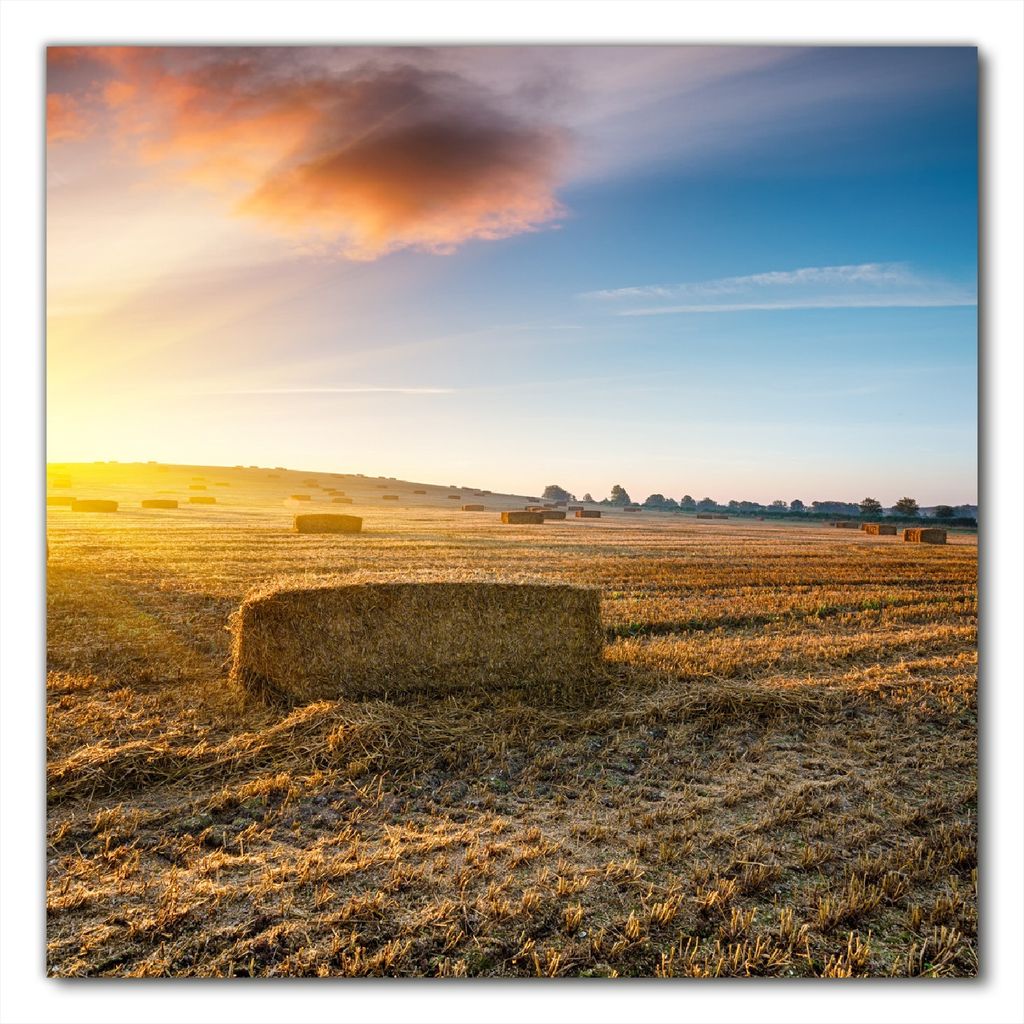 Wallario selbstklebende Möbelfolie/ Tischdecke für Innen und Außen, Größe: 100 x 100 cm - Stroh auf dem Feld bei untergehender Sonne
