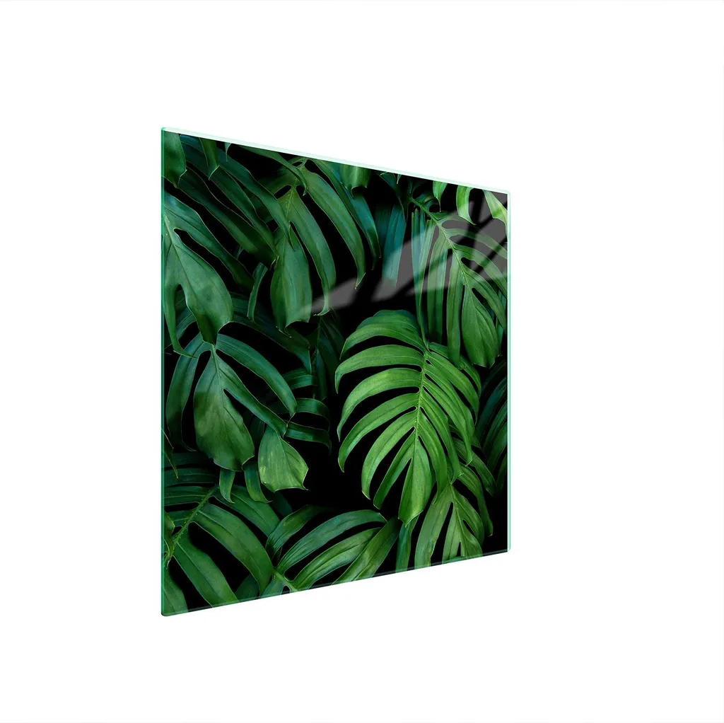 Pannello in Vetro Temperato 50x52 Monstera per Piani Cottura