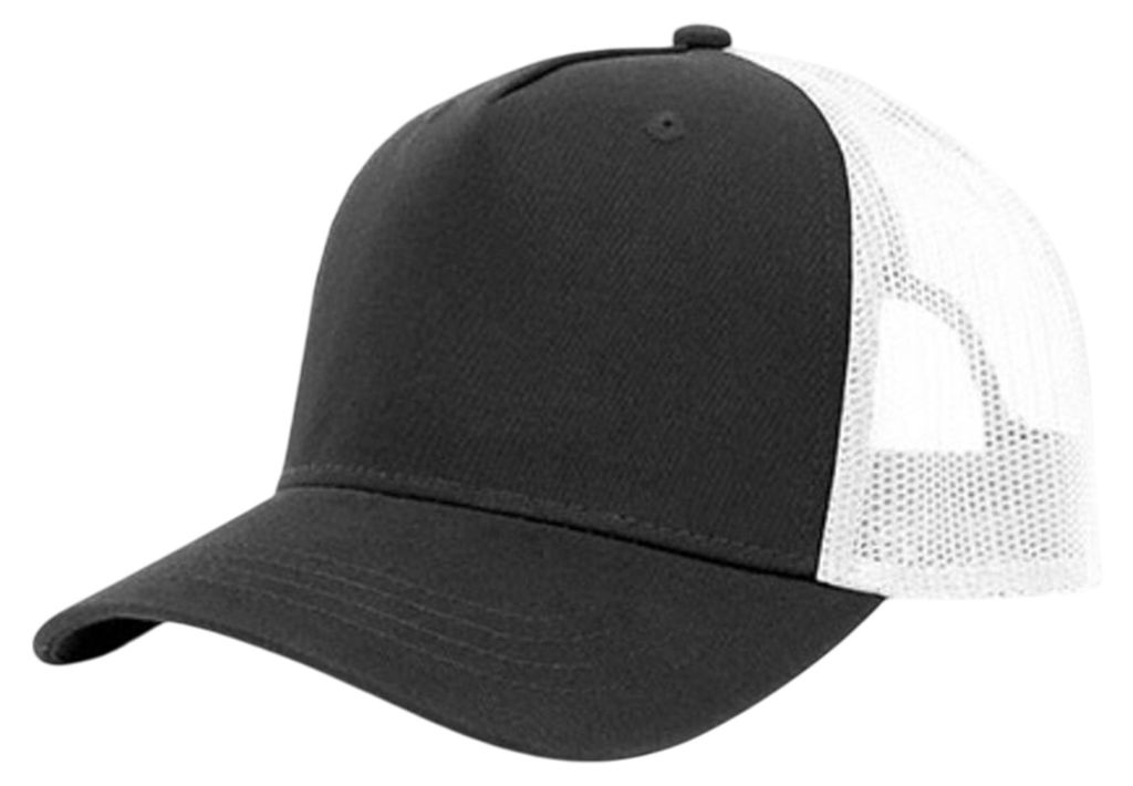 Brain Waves - Trucker Cap 5 Segmente LT1239 (Einheitsgröße) (Schwarz/Weiß)