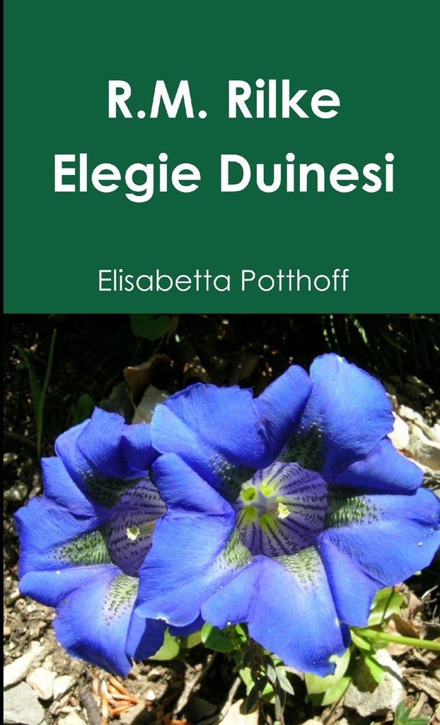 Rainer Maria Rilke - Elegie Duinesi